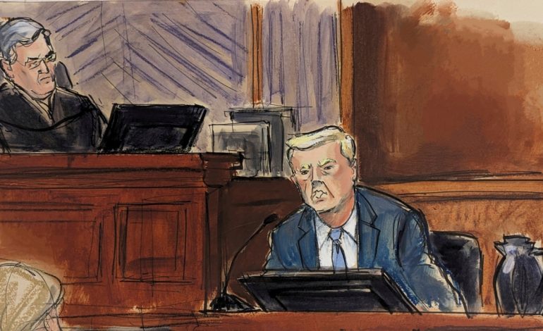 Ish-presidenti Trump mohon përsëri akuzat e autores Carroll për përdhunim