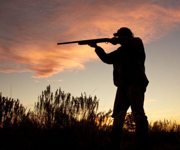 Pesë shokë dalin për gjah, njëri ia fut vetes me çifte