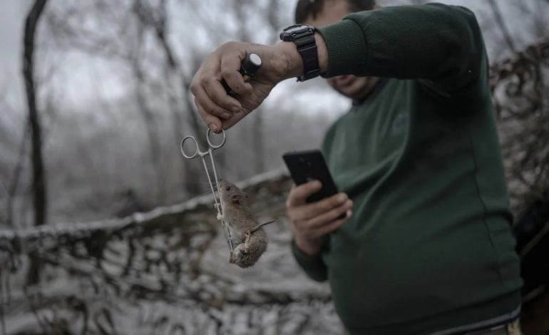 “Ethet e miut”/ Brejtësit infektojnë ushtarët në vijën e parë frontit të luftës në Ukrainë, krahasohet me situatën e Luftës së Parë Botërore