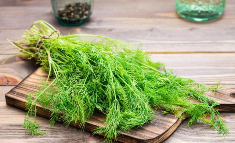 Kampion për Vitamina – Përfitimet e Pazakonta Shëndetësore të Lëngut të Koprës