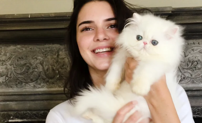 Njihuni me shenjat kafshëdashëse të horoskopit