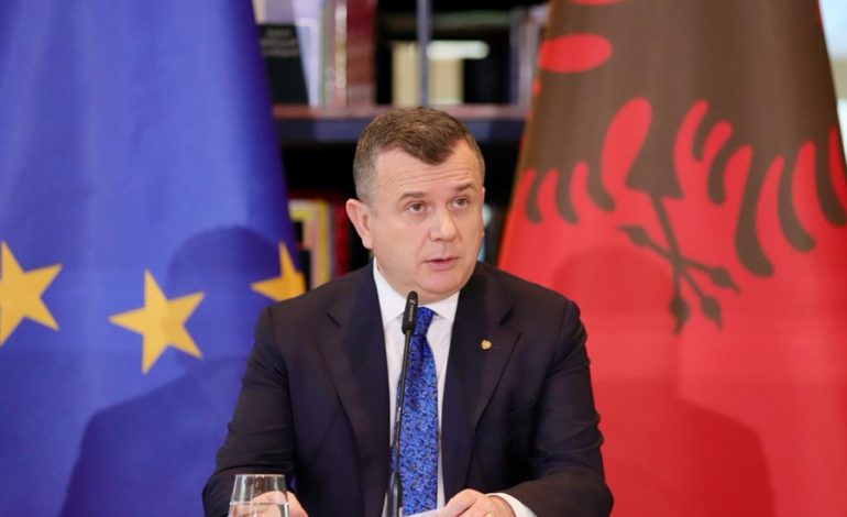 LIVE-35 vrasje dhe 4698 raste dhune në familje për vitin 2023