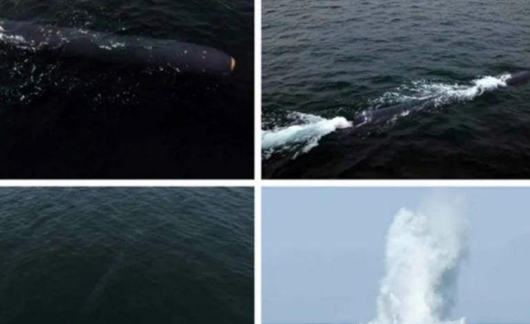 Koreja e Veriut kryen testin e sistemit të armëve bërthamore nënujore