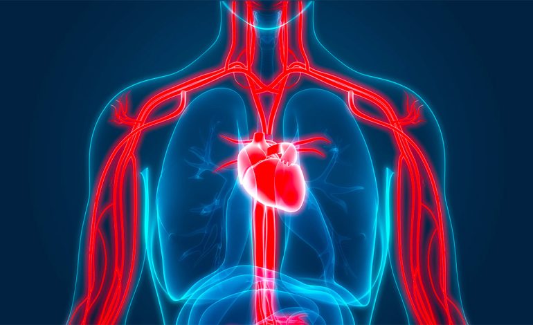 Si Ndikon Diabeti tek Tensioni i Lartë i Gjakut – Çfarë duhet të bëni