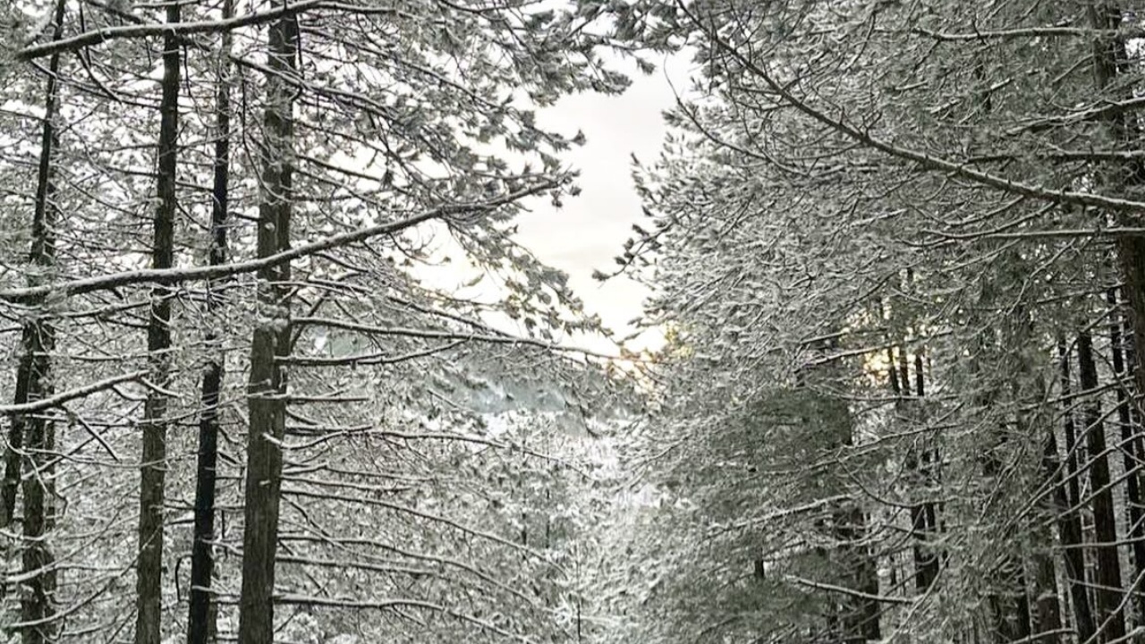 Parashikimi i motit/ E diel me diell, por temperatura të ulëta! Termometri shënon -10 gradë C në Bajram Curr