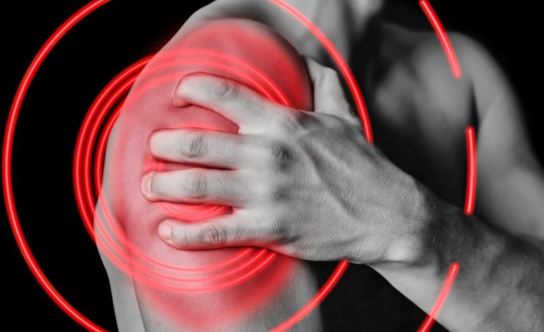 Pesë Ushqimet më të Mira për të Shëruar Dhimbjen e Muskujve