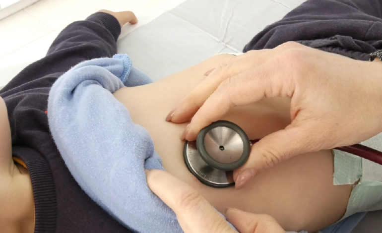 Situata epidemiologjike, nis zbritja e kurbës së infeksioneve respiratore 
 31/01/2024 13:04