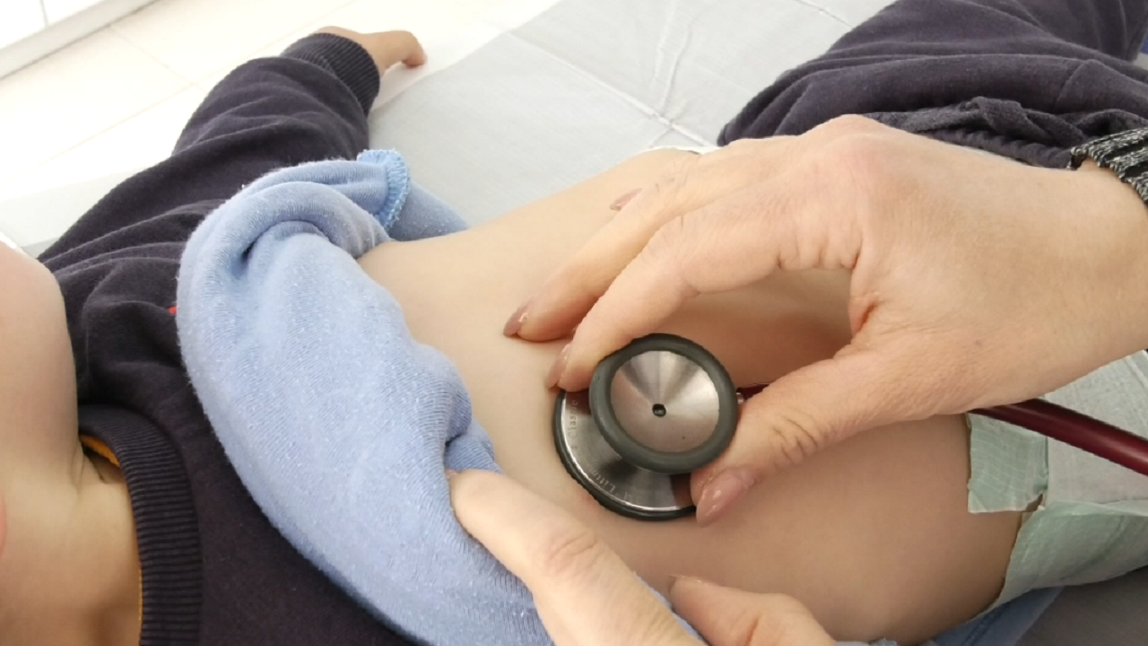 Situata epidemiologjike, nis zbritja e kurbës së infeksioneve respiratore 
 31/01/2024 13:04