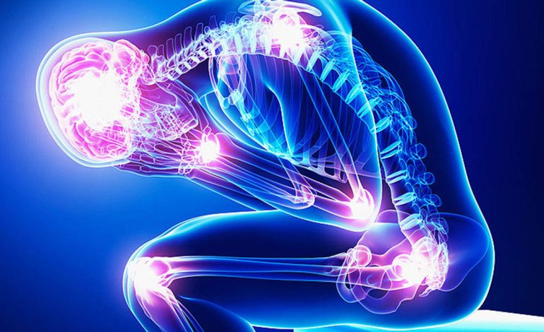 Çfarë i Bën Stresi Zemrës – Si ta Shmangni dhe Trajtoni