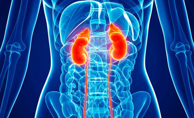 Gabimet që Shkaktojnë Probleme Serioze të Veshkave