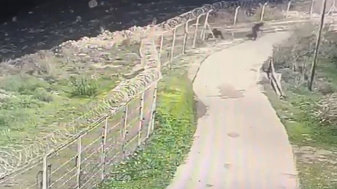 Me sëpata dhe thika, tre palestinezë të vrarë ushtria izraelite! Nisën një sulm në një vendbanim hebre në Bregun Perëndimor
