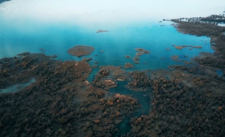 Shqipëri, shoqatat bëjnë thirrje për mbrojtjen e ligatinave