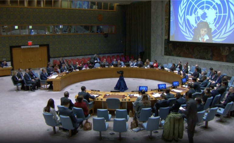Në Këshillin e Sigurimit, Kosova dhe Serbia përplasen për çështjen e dinarit