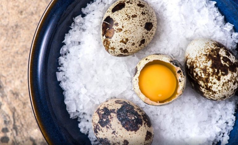 Pse Duhet të Konsumoni Vezët e Shkurtëzës për Shëndetin