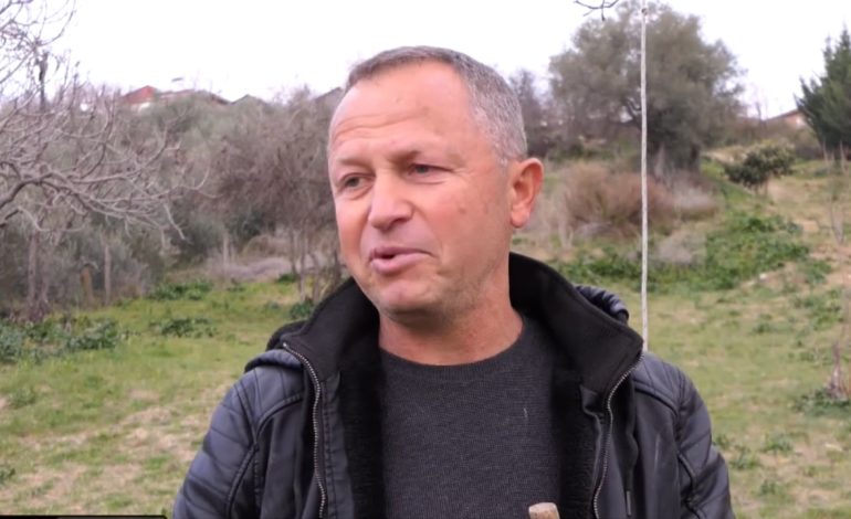 Dashuria për kafshët! Në Rrasë të Belshit mbarështohen qentë e racës së “pastorit belg”