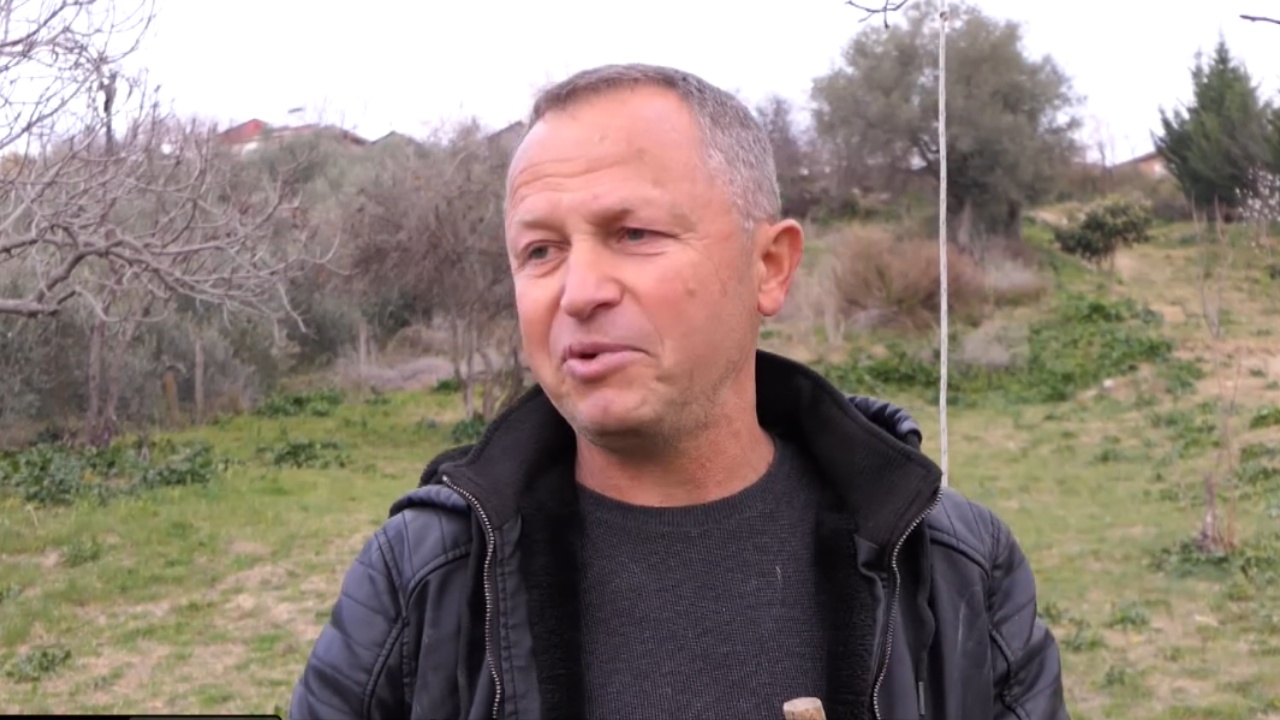 Dashuria për kafshët! Në Rrasë të Belshit mbarështohen qentë e racës së “pastorit belg”