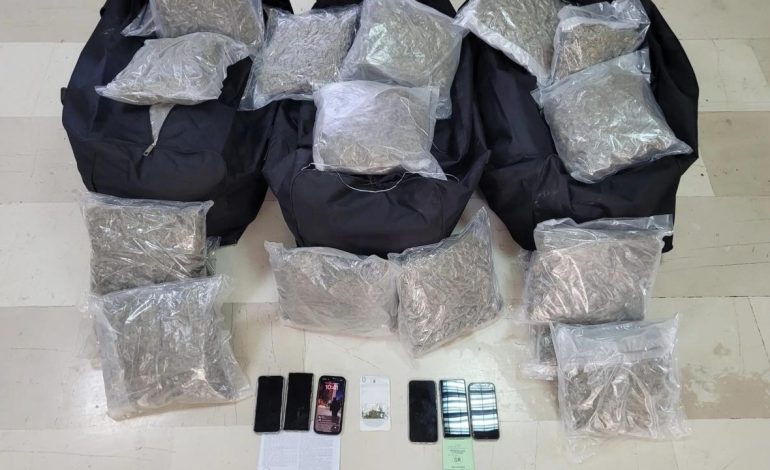 Vinin nga kufiri shqiptar, sekuestrohen mbi 81 kg marijuanë në Greqi