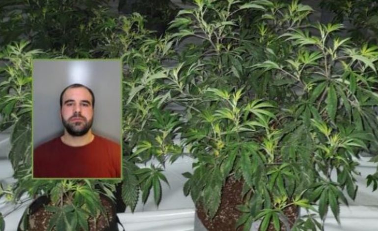 U diplomua për Arte në Shqipëri, por i riu hap shtëpi bari në Angli! Si ra në gjurmët e autoriteteve dhe sa u dënua