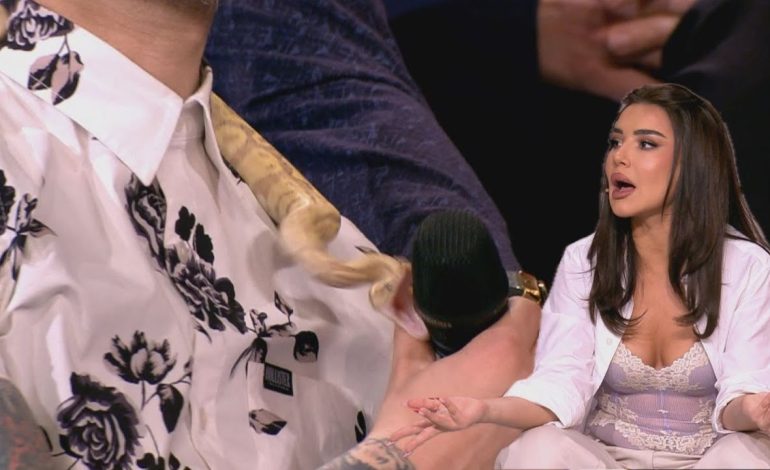 E papritur në “Përputhen”, gjarpri sulmon Bucin