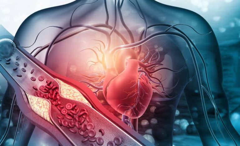 Mosha e Duhur kur Duhet të Nisë Matja e Kolesterolit