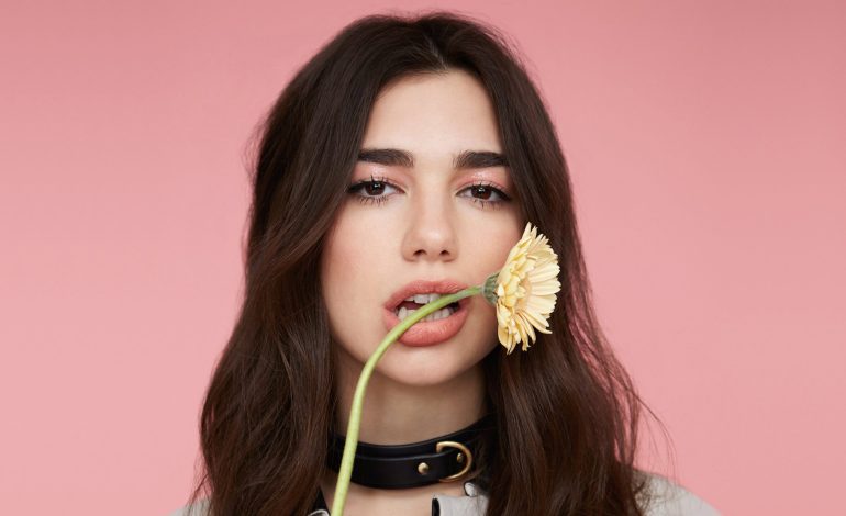 Kënga e artistëve izraelitë që bën thirrje për vdekjen e Dua Lipës