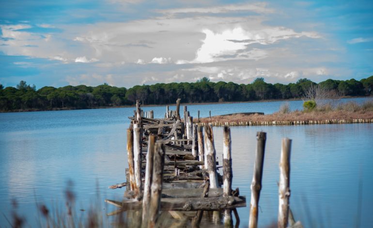 PS voton me urgjencë projektin e qeverisë për ndërtime në zonat e mbrojtura