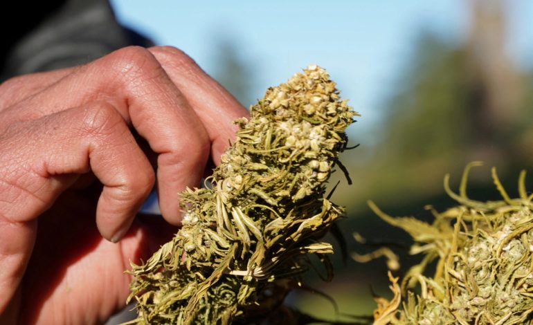 Lufta në Gaza, marokenët bojkotojnë shitjen e drogës për izraelitët