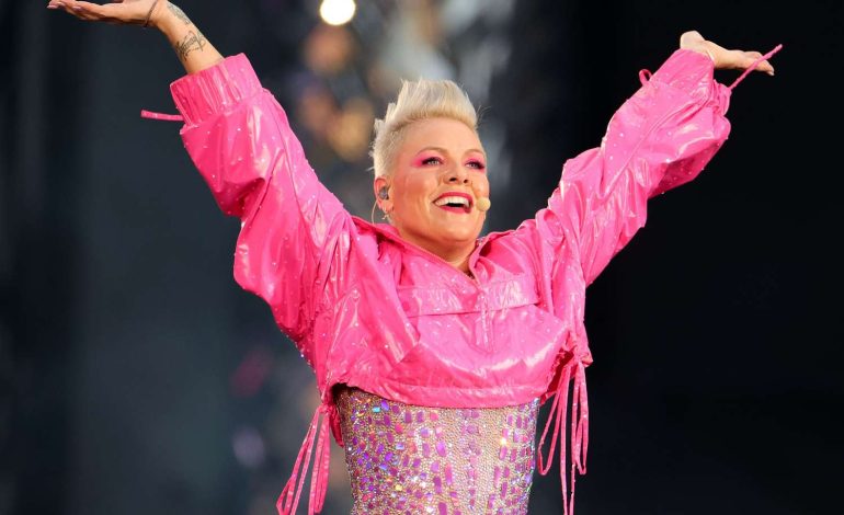 Ndodh përsëri: Fansja gati për të lindur, Pink ndalon koncertin