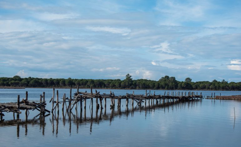 ‘Keqkuptim publik’: Socialistët tërhiqen nga drafti fillestar për Zonat e Mbrojtura