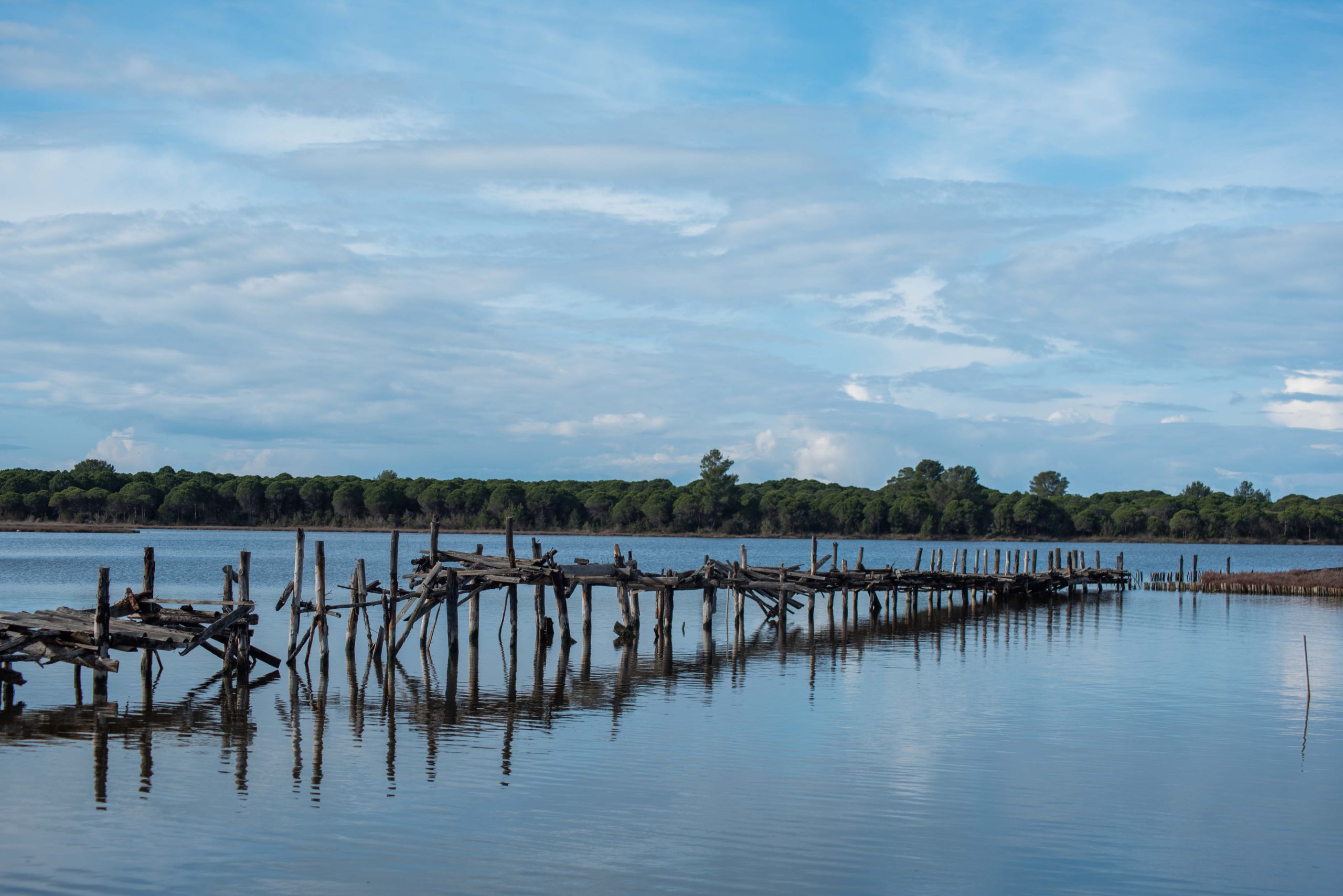 ‘Keqkuptim publik’: Socialistët tërhiqen nga drafti fillestar për Zonat e Mbrojtura