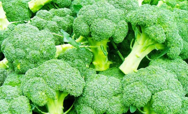 Vlerat Mirëbërëse të Vitaminës E – Ushqimet ku Gjendet