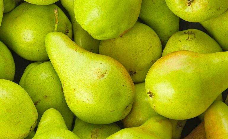 Çfarë i Ndodh Organizmit Nëse Hani Një Dardhë në Ditë