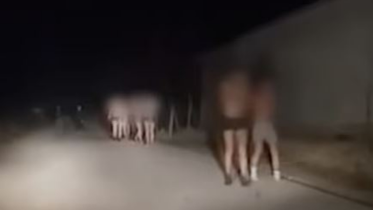 Tortura dhe poshtërime/ Policia serbe detyron emigrantët në kufirin me Maqedoninë të zhvishen në temperatura të ulëta! Nis hetimi
