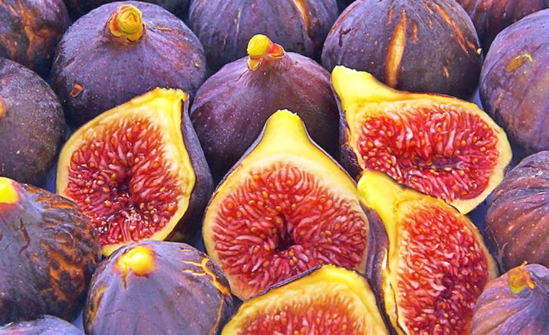 Fruta me Stomak Bosh – Cilat Duhet të Zgjidhni Dhe Pse