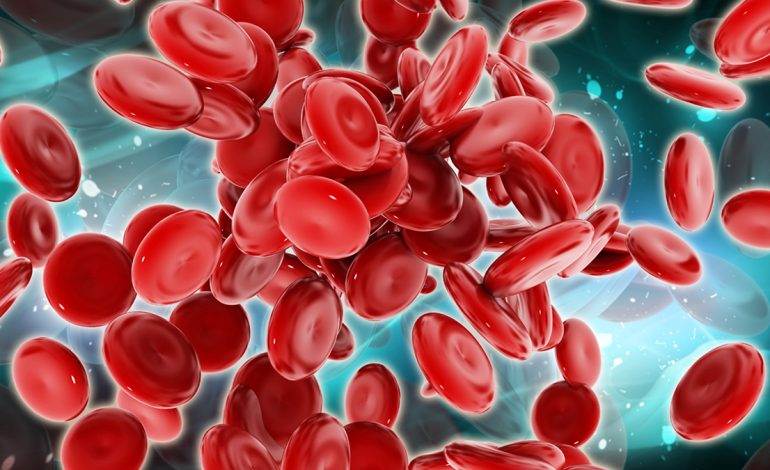 Cilat Janë Nivelet Normale të Hemoglobinës – Si t’i Kuptoni dhe Kur Duhet të Shqetësoheni