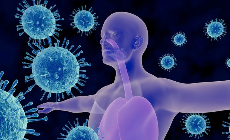 Plakja e Imunitetit – Ndikimi në Shëndetin e Organizmit