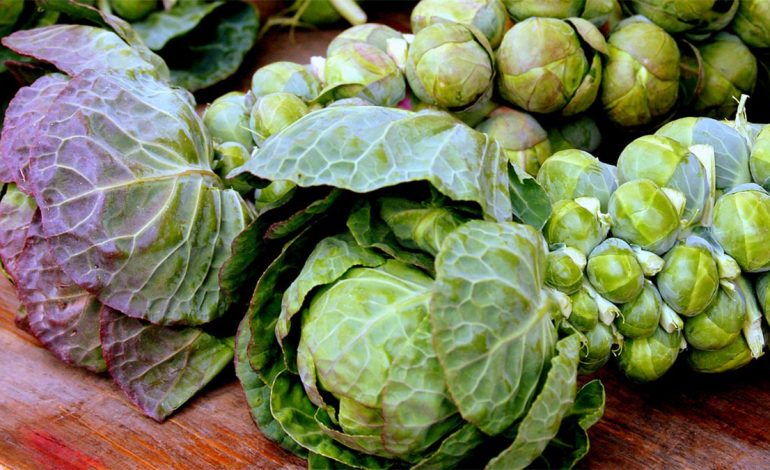 Ushqimet më të Mira Kundër Simptomave të Reumatizmës