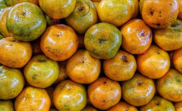 Portokallet apo Mandarinat – Cilat Janë më të Mira Kundër Virozave?