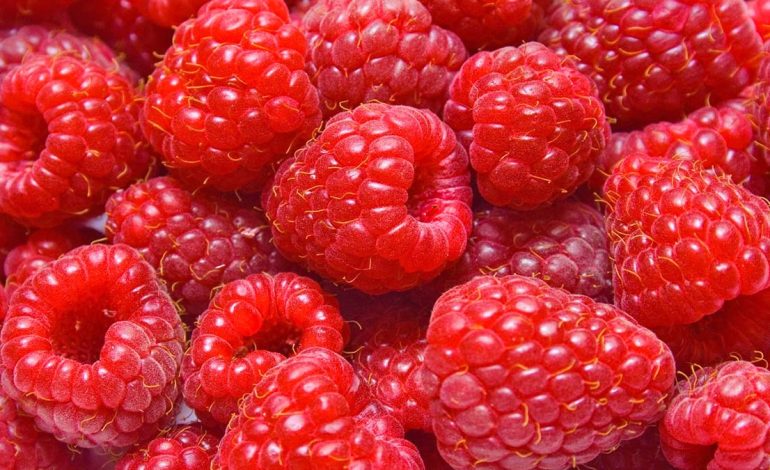 Tetë Ushqimet më të Shëndetshme që Duhen Ngrënë Bashkë