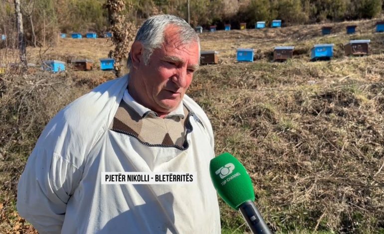 Sekretet e bletëve/ Pasioni i bletarit nga Ungrej, me shitjen e mjaltit rrit 8 fëmijë