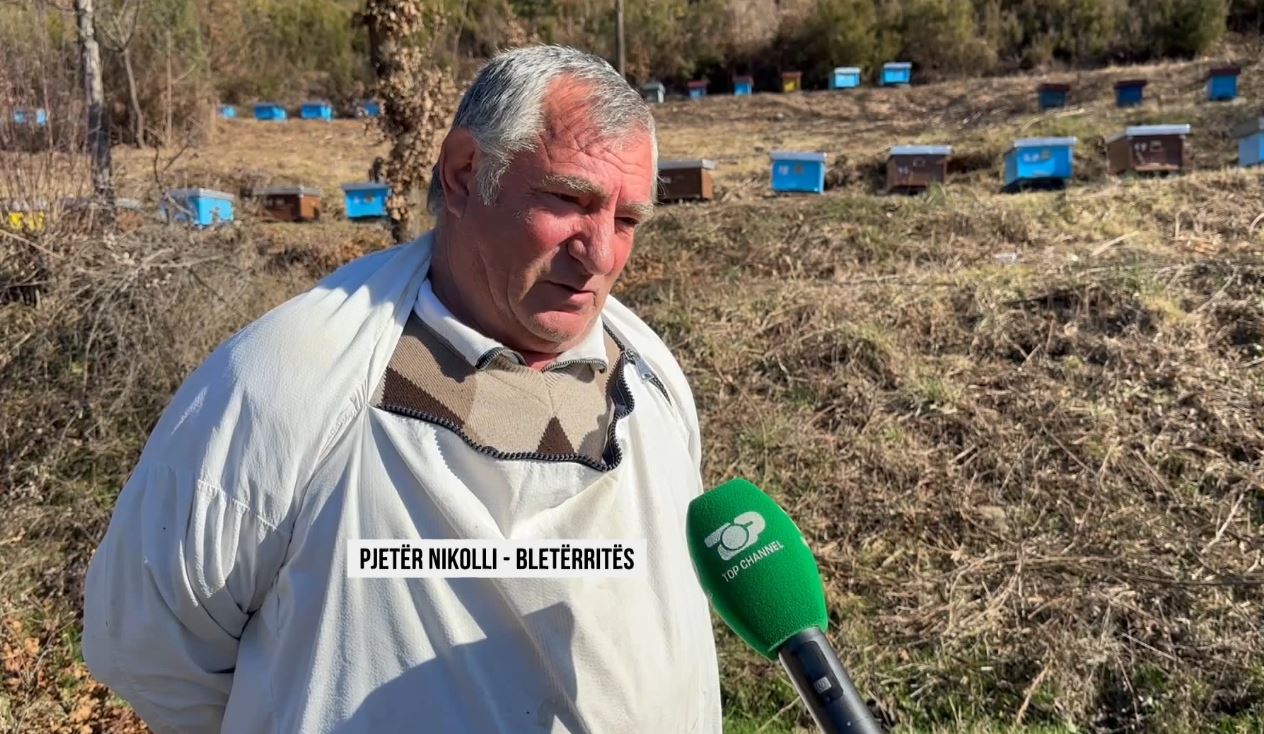 Sekretet e bletëve/ Pasioni i bletarit nga Ungrej, me shitjen e mjaltit rrit 8 fëmijë