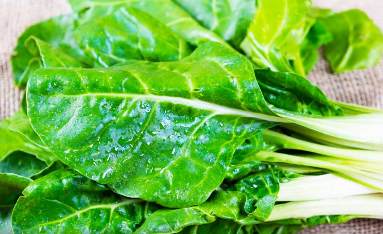 Pazia, Laboti, Hithra – Vlerat Cilësore Për Organizmin