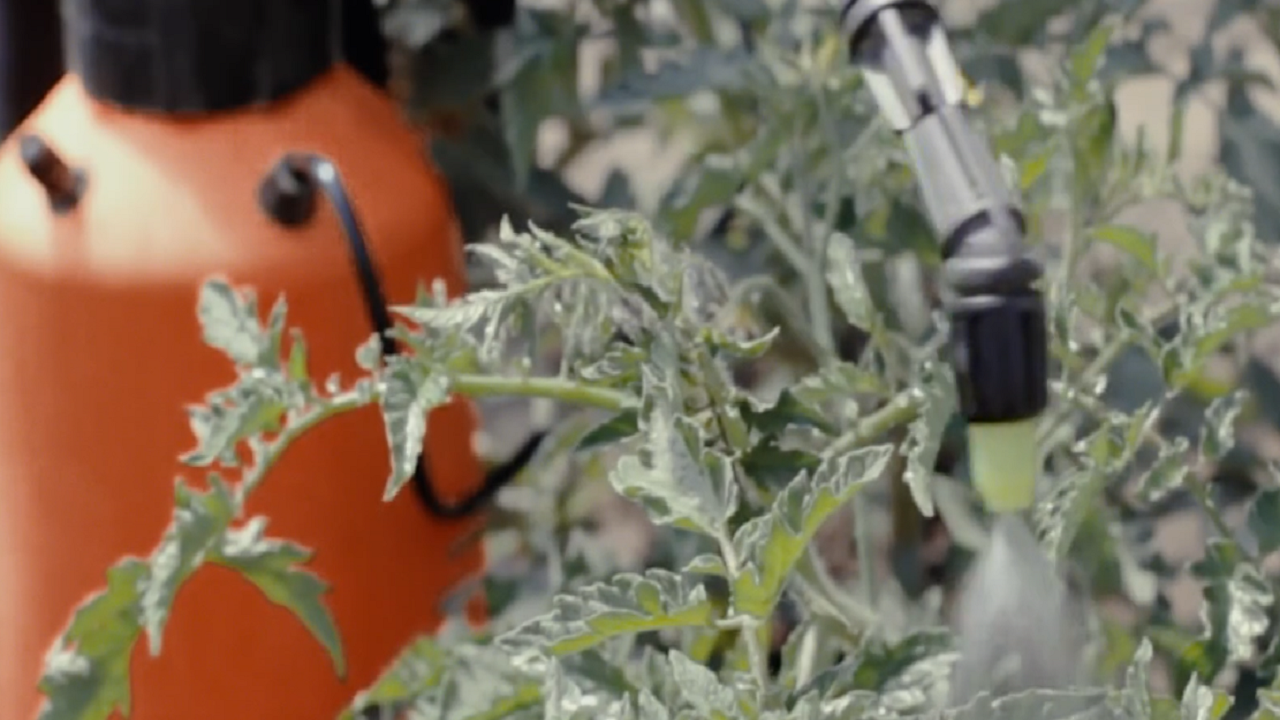 Rreziku nga pesticidet! Investigimi në “Inside Story” për kimikatet e ndaluara