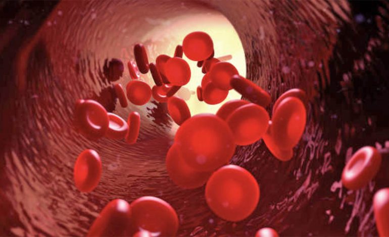 E Ftohura Mund të Rrisë Nivelet e Sheqerit në Gjak—Ja Çfarë të Bëni