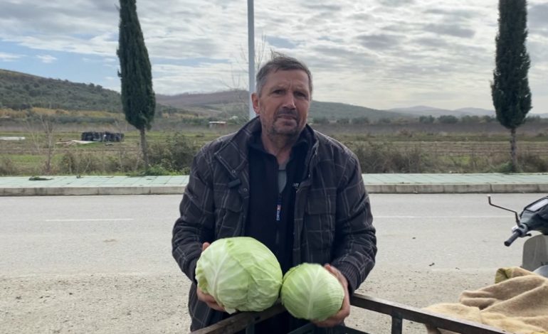 Bujqësia në vështirësi/ I moshuari punon nga mëngjesi në darkë në Divjakë