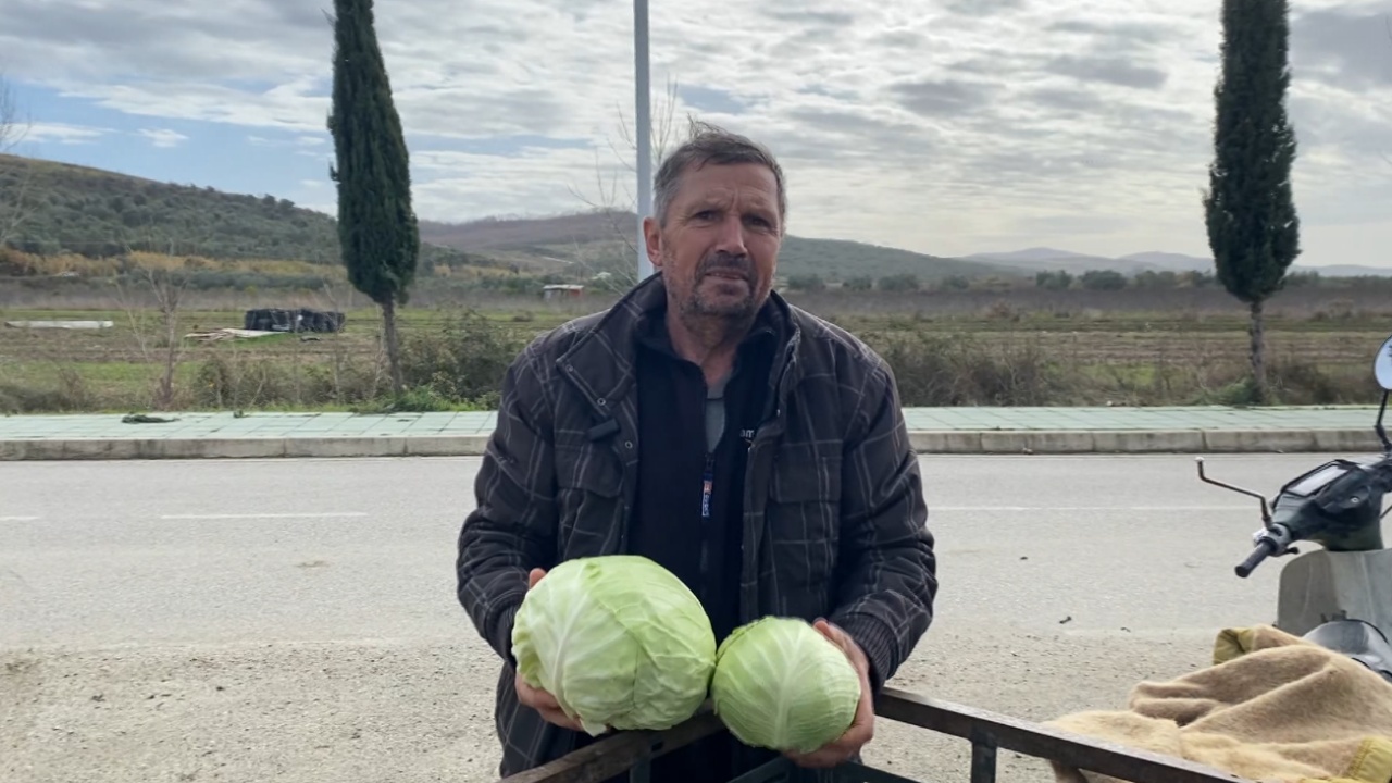 Bujqësia në vështirësi/ I moshuari punon nga mëngjesi në darkë në Divjakë