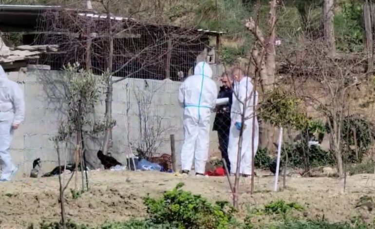 Zbardhet dinamika/ Pëllumb Meta u vra me 4 plumba në kasollen e bagëtive, vijojnë prej orësh kontrollet e ekspertëve për gjetjen e armës