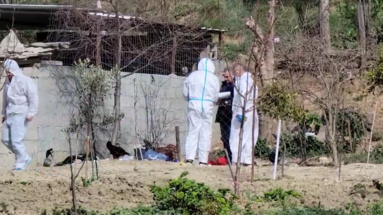 Zbardhet dinamika/ Pëllumb Meta u vra me 4 plumba në kasollen e bagëtive, vijojnë prej orësh kontrollet e ekspertëve për gjetjen e armës