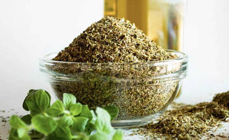 Vaji i Rigonit – Vlerat dhe Përfitimet e Armikut të Infeksioneve