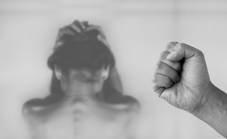 Ndihma ndaj viktimave të dhunës në familje në Lezhë e pamjaftueshme